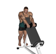 Zottman Curl - Standing Incline Alternate